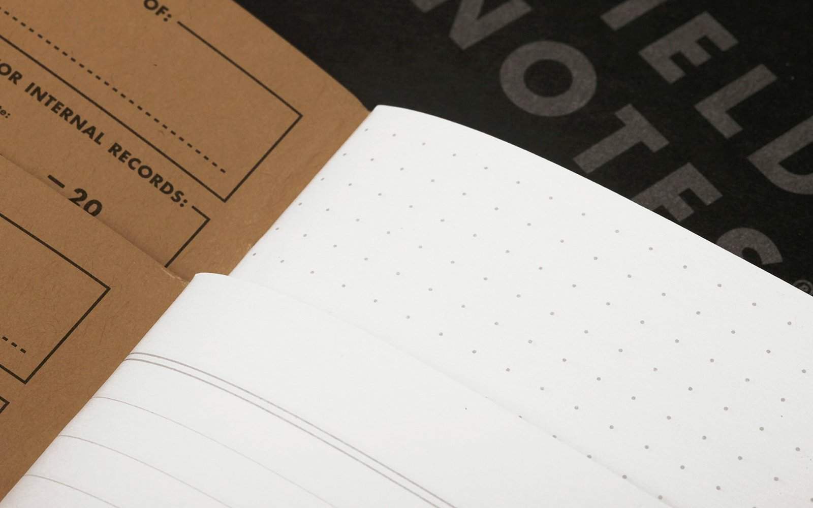 Field Notes