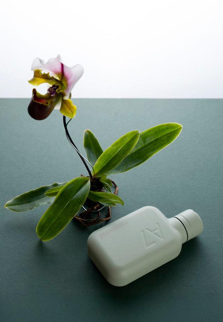 Memobottle A7 Stainless Steel Pistachio 250ml