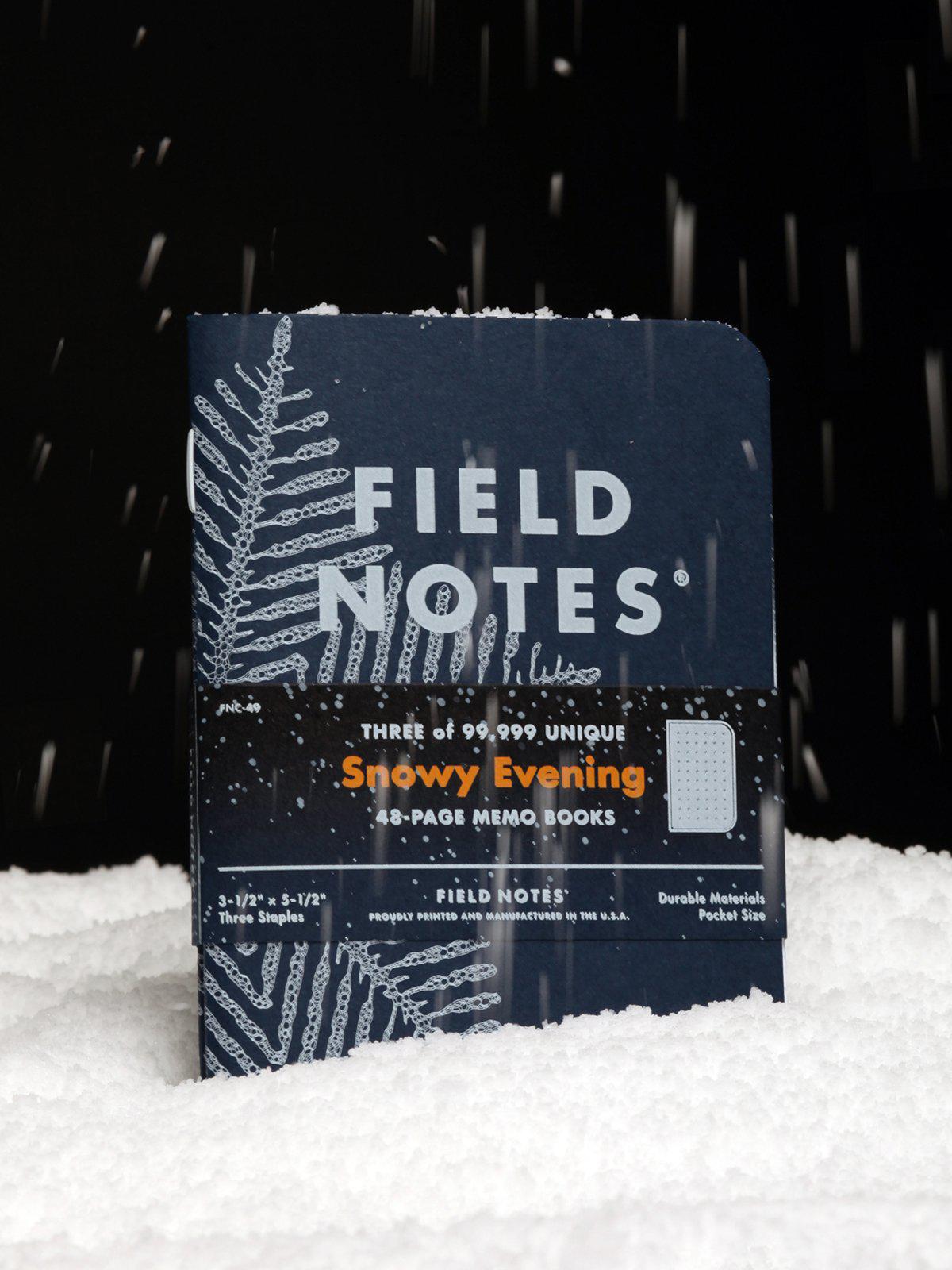Field Notes Snowy Evening 3 Pack Dot Graph Paper