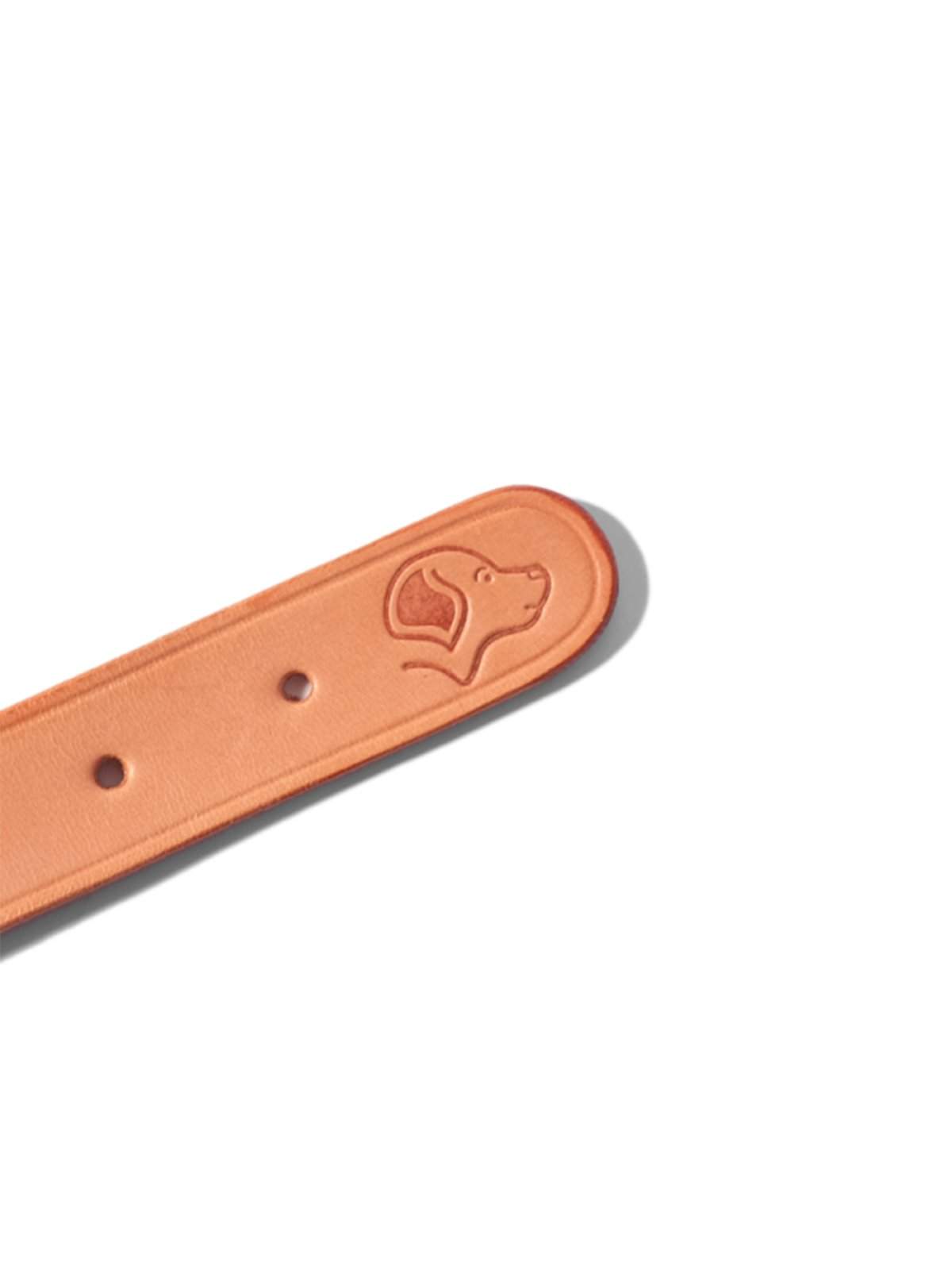 Voyej Dog Collar Natural - MORE by Morello Indonesia