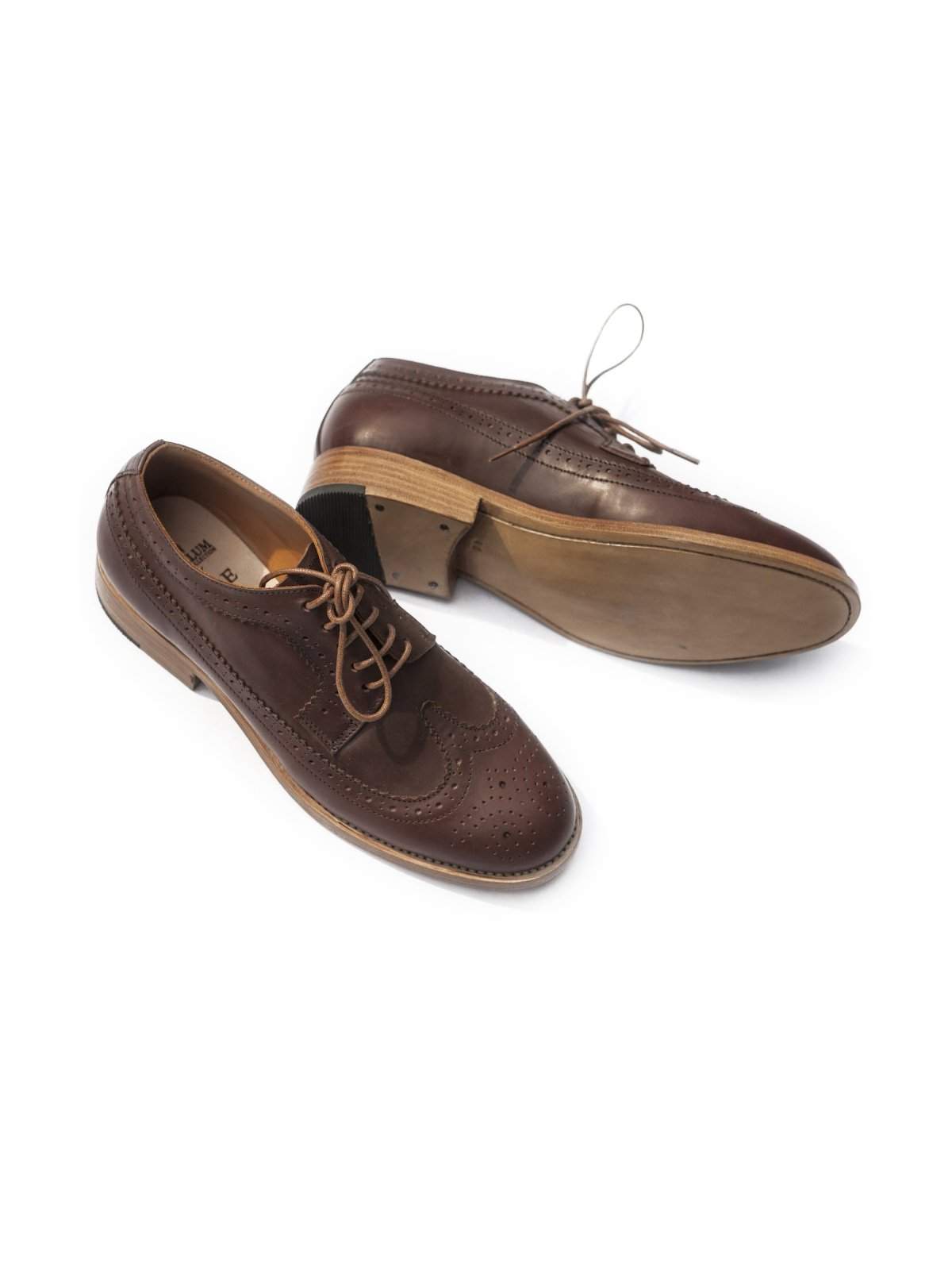Santalum Longwing Derby Shoes Brown - MORE by Morello Indonesia