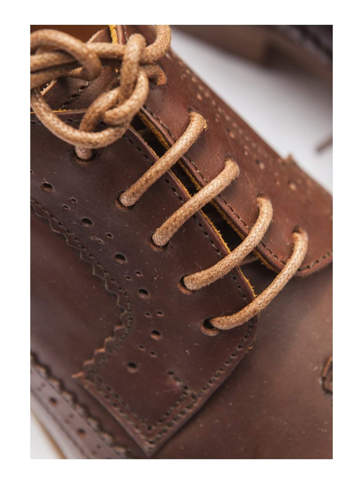 Santalum Longwing Derby Shoes Brown - MORE by Morello Indonesia